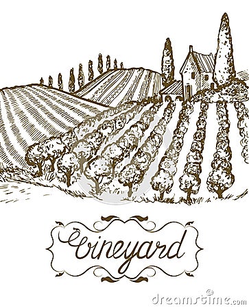 Hand drawn vineyard landscape. Vintage vector illustration. Lettering in frame. Vector Illustration