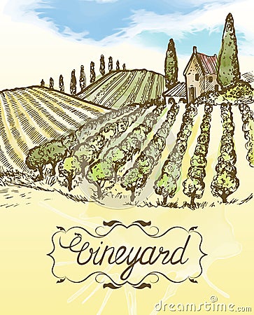 Hand drawn vineyard landscape. Vintage vector watercolor illustration. Lettering in frame. Vector Illustration