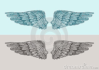 Hand drawn vintage angel wings. Sketch vector illustration Vector Illustration