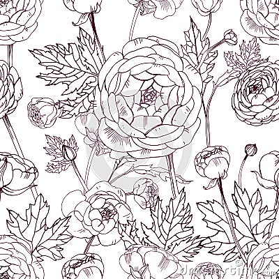 Hand drawn vintage outline floral seamless pattern with ranunculus flower. Vector Illustration