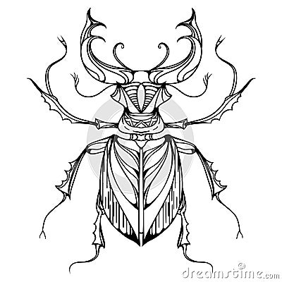 Hand drawn vintage stag beetle. Vector Illustration