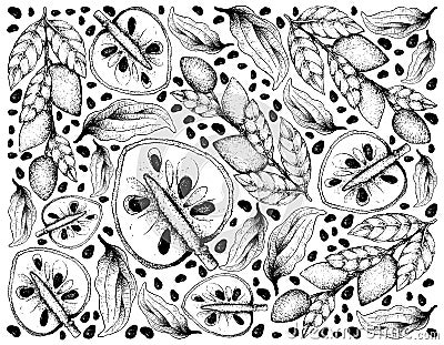 Hand Drawn Wallpaper of Ripe Cherimoya and Wampee Fruits Vector Illustration