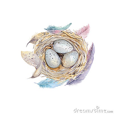 Hand drawn watercolor art bird nest with eggs , easter design. Cartoon Illustration