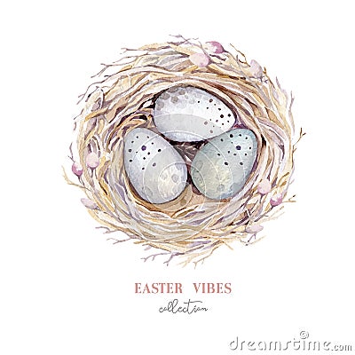 Hand drawn watercolor bird nest with eggs, easter spring design Vector Illustration