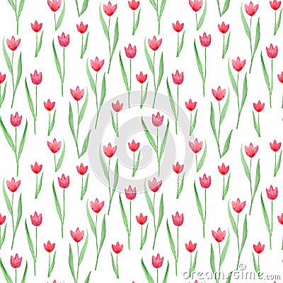 Seamless floral pattern in pink, green, red colors. Tulips. Stock Photo