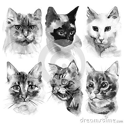 Hand drawn watercolor black cats portraits collection Stock Photo