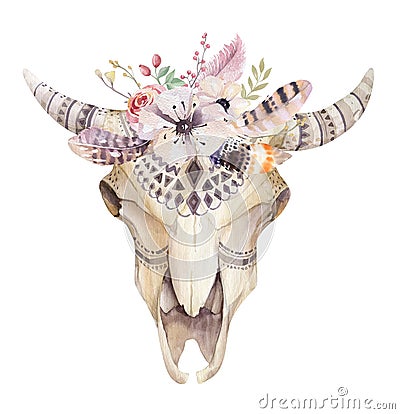 Hand drawn Watercolor bohemian cow skull. Western mammals. Stock Photo