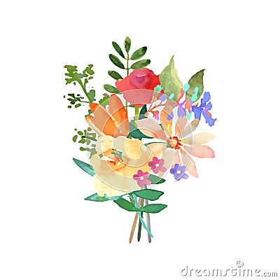 Hand drawn watercolor bouquet. Isolated elements. Vector. Vector Illustration