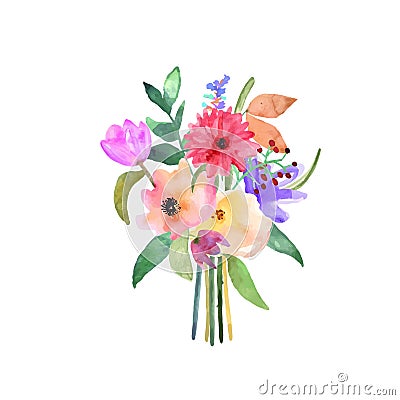 Hand drawn watercolor bouquet. Isolated elements. Vector. Vector Illustration