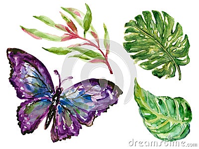 Hand drawn watercolor Butterfly Colorful tropical plants set exotic leaves watercolor illustration Cartoon Illustration