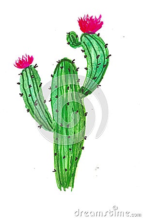 Hand drawn watercolor cactus flower Stock Photo