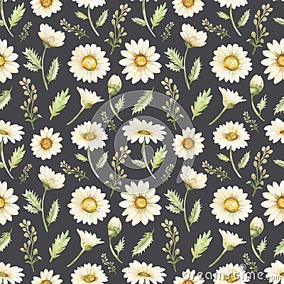 Hand drawn watercolor chamomile seamless pattern.Wildflowers repeat paper. Meadow Florals bouquet pattern. Daisy flowers Stock Photo