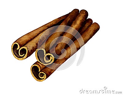 Hand drawn watercolor cinnamon sticks Stock Photo