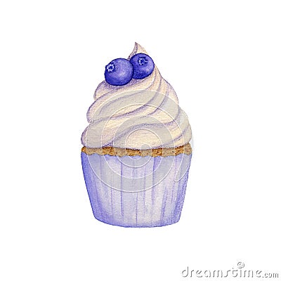 Hand drawn watercolor cupcake decorated with berries. Blueberry. Isolated. for card, poster Cartoon Illustration