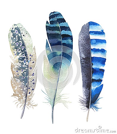 Hand drawn watercolor feather set. Boho style. illustration isolated on white. Design for T-shirt, invitation, wedding card. Cartoon Illustration