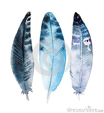 Hand drawn watercolor feather set, raster Stock Photo