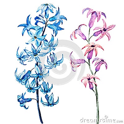 Hand drawn watercolor flowers Stock Photo