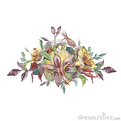 Hand drawn watercolor flowers set Bouquet of Aquilegia. Beautiful Realistic vector elements. No transparency and shadows Vector Illustration