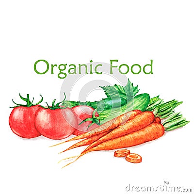 Hand-drawn watercolor food illustration of organic products Cartoon Illustration