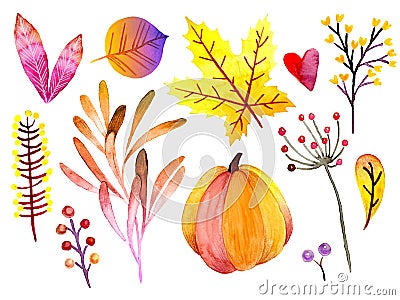 Hand drawn watercolor forest leaves and berries. Isolated icons. Autumn abstract botanical branches. Guelder, pumpkin Stock Photo