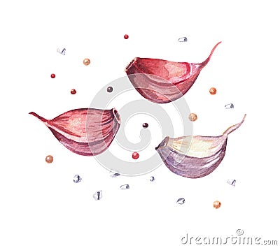 Hand drawn watercolor garlic and pepper painting on white background Stock Photo