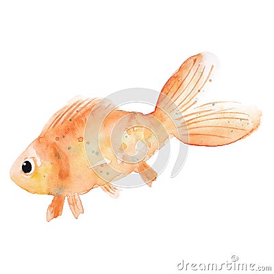 Hand drawn watercolor goldfish illustration isolated on white background. Carp fish pet clipart for greeting cards, logo Cartoon Illustration