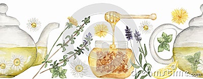 Hand drawn watercolor herbal tea seamless border illustration: herbs, lemon, mint, tea leaves, honey, dandelion. Repeat pattern Cartoon Illustration