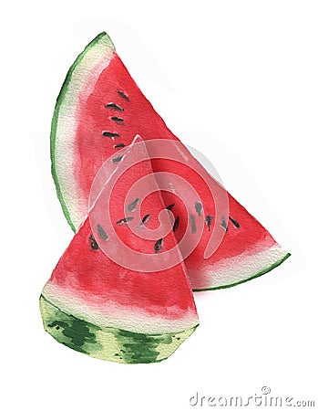 Hand-drawn watercolor illustration of fresh watermelon slice isolated on the white background. Cartoon Illustration