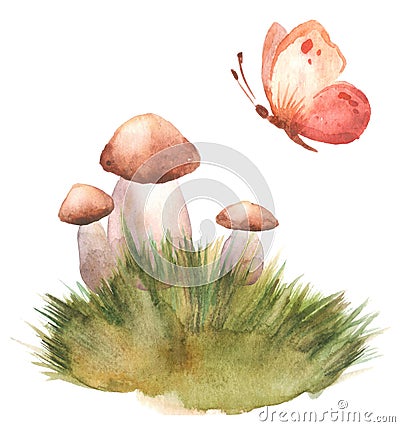 Hand drawn watercolor illustration of porcini cep edible boletus mushroom in grass with butterfly. Forest wood woodland esign. Cartoon Illustration
