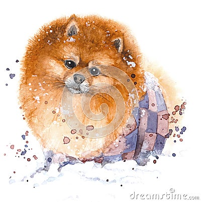 Hand drawn watercolor illustration. Portrait funny, fluffy Spitz with purple sprays. Cartoon Illustration