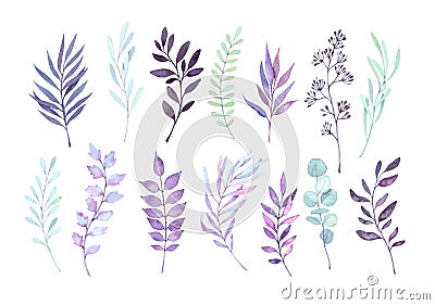 Hand drawn watercolor illustrations. Autumn Botanical clipart. S Cartoon Illustration