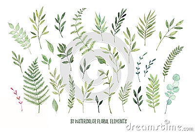 Hand drawn watercolor illustrations. Botanical clipart laurels Cartoon Illustration