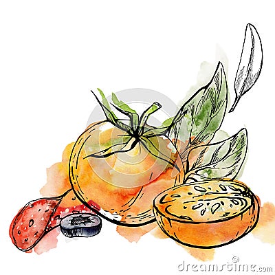 Hand drawn watercolor ink illustration. Tomato pepperoni olive basil herb leaves fresh products meal. Composition Cartoon Illustration