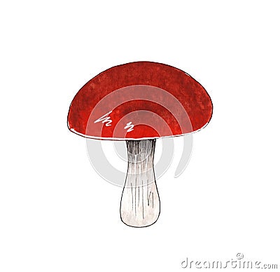 Hand drawn watercolor mushroom illustration, forest element. Cartoon Illustration