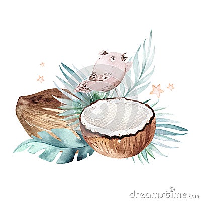 Hand drawn watercolor painting birds and Tropical palm leaves with Coconuts isolated on white background. . Nature Fruit Cartoon Illustration