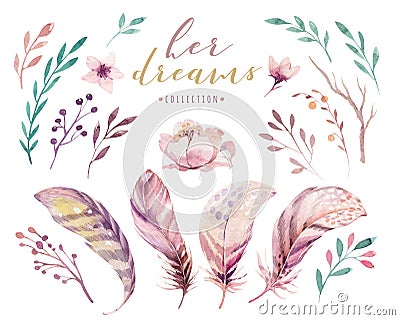 Hand drawn watercolor paintings vibrant feather set. Boho style rose wings. illustration isolated on white. Bird fly Cartoon Illustration