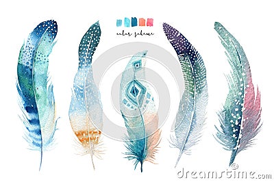 Hand drawn watercolor paintings vibrant feather set. Boho style Cartoon Illustration