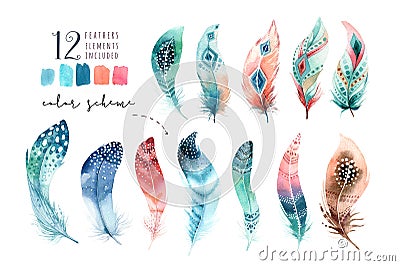 Hand drawn watercolor paintings vibrant feather set. Boho style Cartoon Illustration