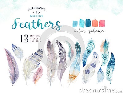 Hand drawn watercolor paintings vibrant feather set. Boho style Cartoon Illustration