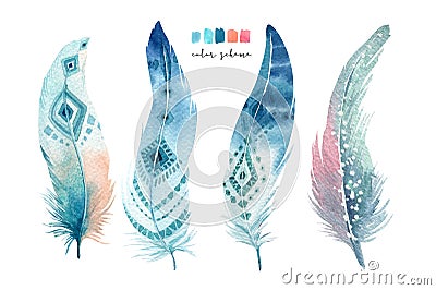 Hand drawn watercolor paintings vibrant feather set. Boho style Cartoon Illustration