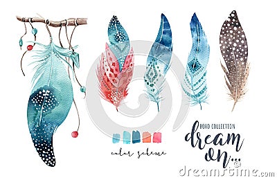 Hand drawn watercolor paintings vibrant feather set. Boho style Cartoon Illustration