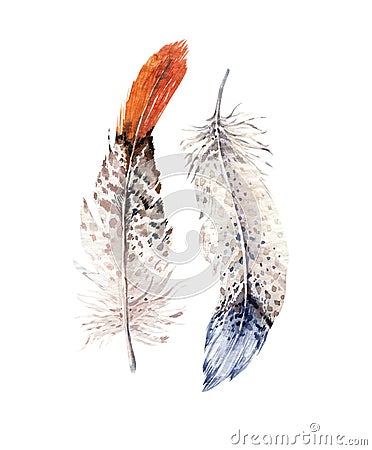 Hand drawn watercolor paintings vibrant feather set. Boho style wings. illustration isolated on white. Bird fly design Cartoon Illustration