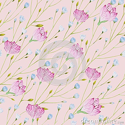 Pattern of watercolor thin twigs with blue and pink flowers on a pink background. Stock Photo