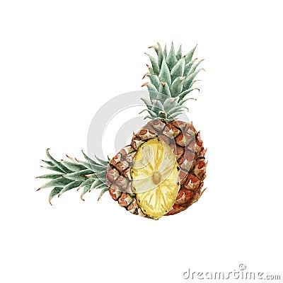 Hand drawn watercolor pineapple isolated Stock Photo