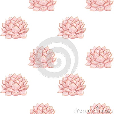 Hand drawn watercolor pink succulent seamless pattern Stock Photo