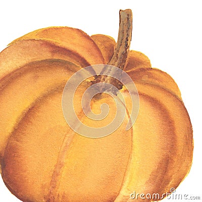 Hand drawn watercolor pumpkin Stock Photo