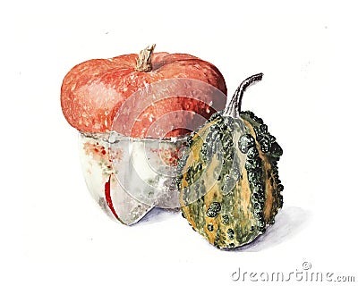 watercolor realistic illustration of bright pumpkin Cartoon Illustration
