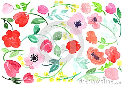 Hand drawn watercolor roses, leaves and abstract flowers isolated on a white background Stock Photo