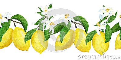 Hand drawn watercolor seamless border with yellow citrus lemons. Bright summer holiday vintage frame, tasty fruit Stock Photo