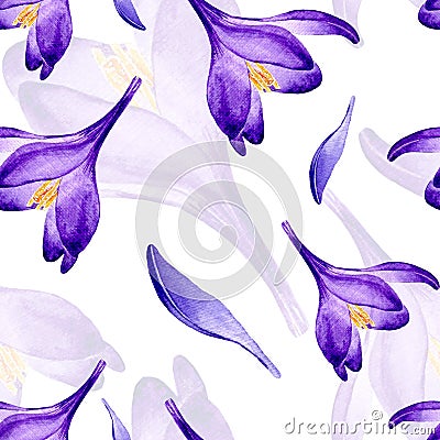 Hand drawn watercolor seamless floral pattern with purple violet lilac crocus saffron flowers 3004 Stock Photo